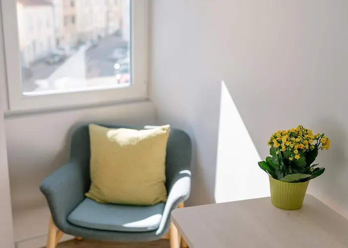 L'appart Du Faubourg 1 A 8 Personnes Appartement