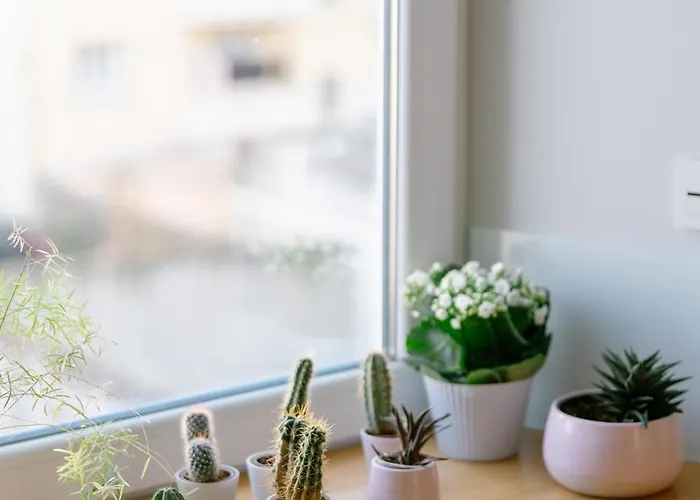 L'appart Du Faubourg 1 A 8 Personnes *