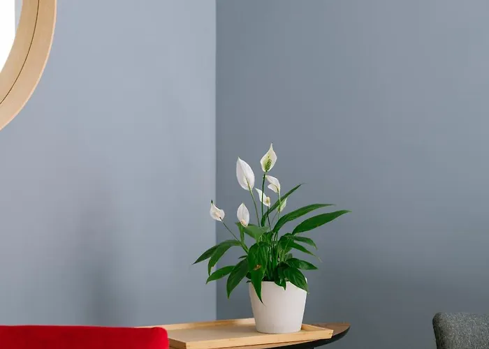 L'appart Du Faubourg 1 A 8 Personnes *