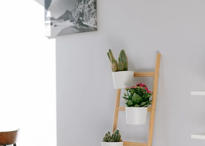 L'appart Du Faubourg 1 A 8 Personnes *